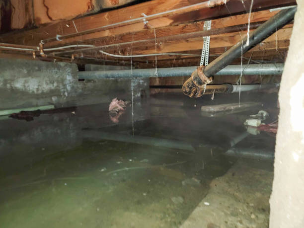 Best Water damage cleanup near me  in Douglas, WY