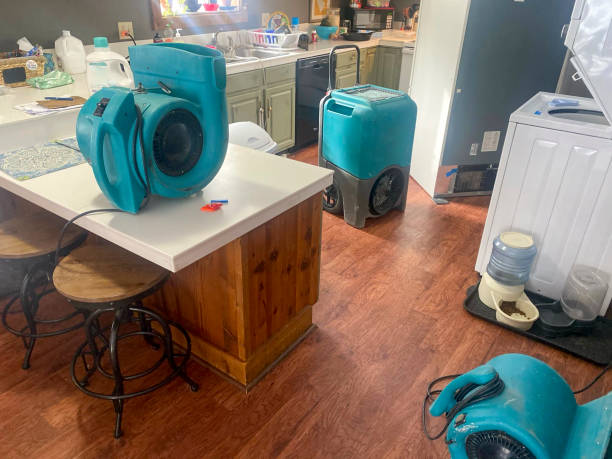 Best 24-hour water damage restoration  in Douglas, WY