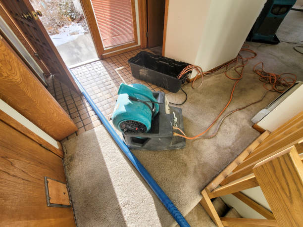 Best Water damage restoration near me  in Douglas, WY