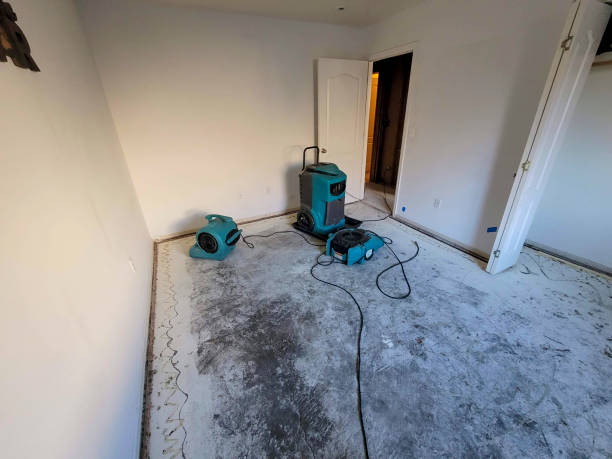Best Flood damage cleanup  in Douglas, WY