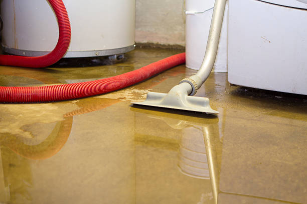 Best Commercial water damage restoration  in Douglas, WY