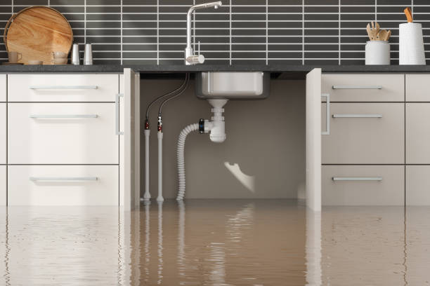 Best Water damage restoration near me  in Douglas, WY