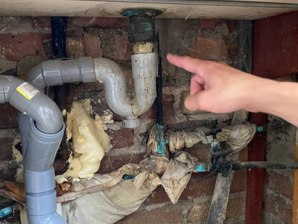 Best Basement water damage restoration  in Douglas, WY